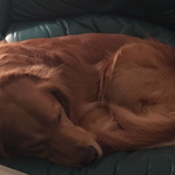 Meet your Posher, Laura - Picture 1 of 1